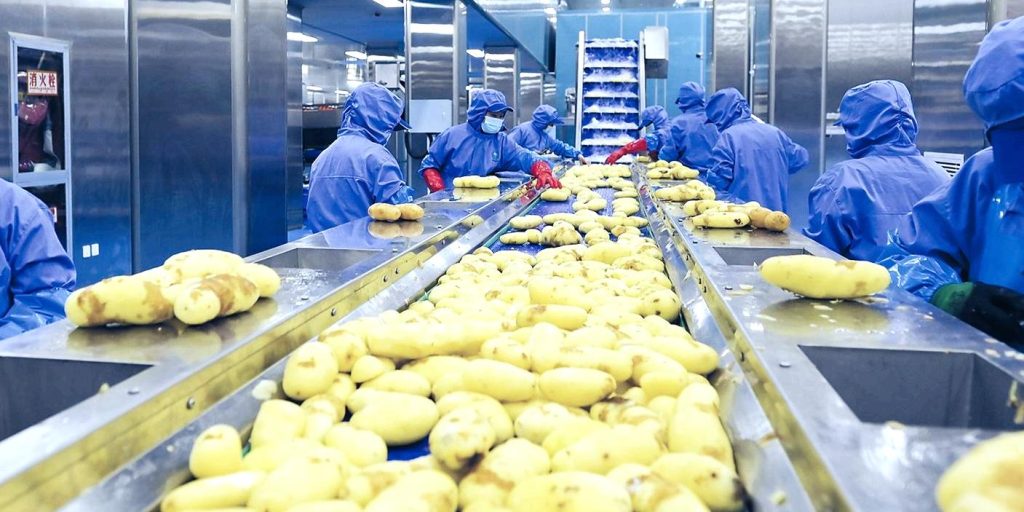 Fábrica de patatas fritas congeladas