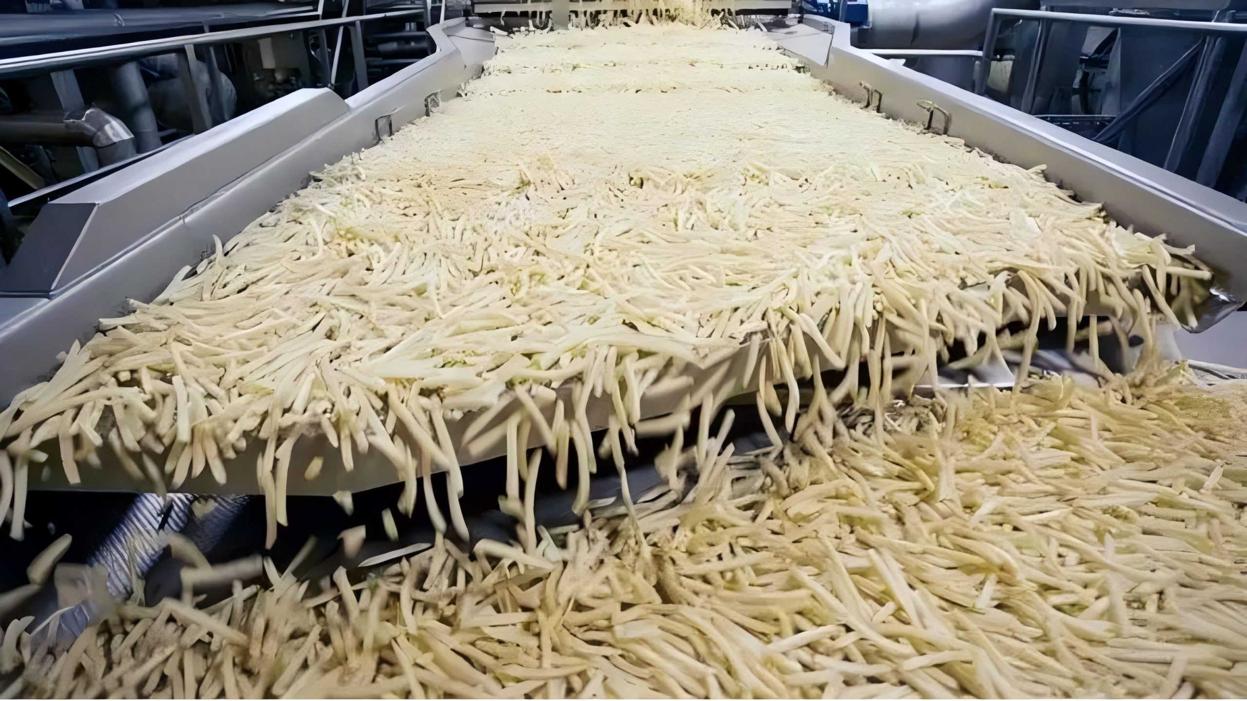 China Professional Frozen French Fries Manufacturer & Exporter