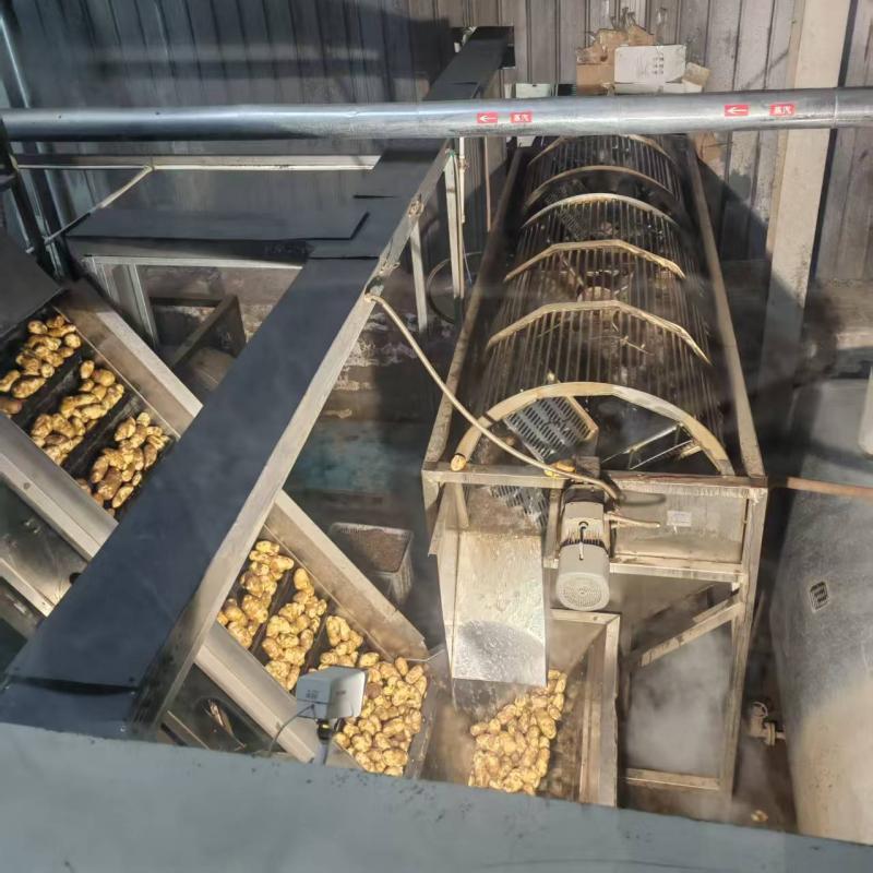 Dinweys frozen french fries production