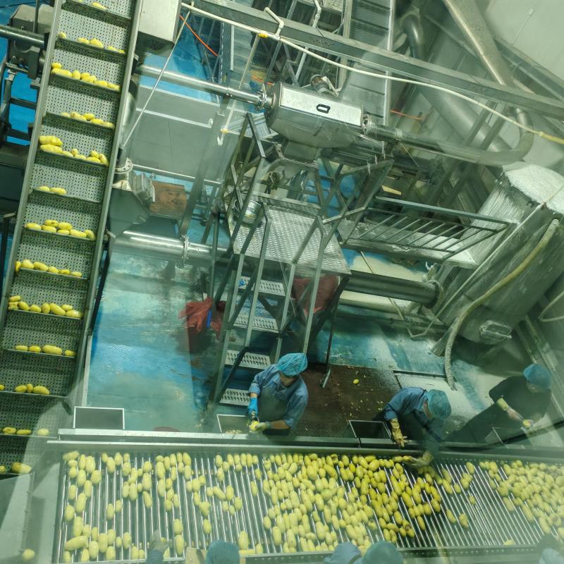 Dinweys frozen french fries production